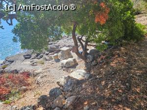 foto-vacanta la Nikole's Villas [Tyros]