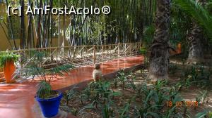 P10 [MAR-2018] Alee in Gradina Majorelle