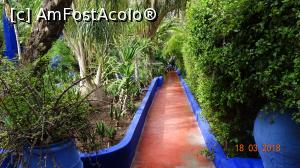 P11 [MAR-2018] Alta alee, aceeasi Gradina Majorelle