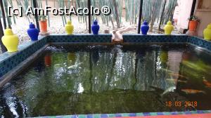 P02 [MAR-2018] Bazinul cu pesti- Gradina Majorelle