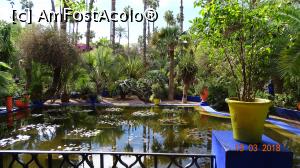 P03 [MAR-2018] Nuferi-Gradina Majorelle