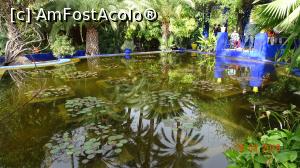 P04 [MAR-2018] Bazinul cu nuferi, alta perspectiva, Gradina Majorelle