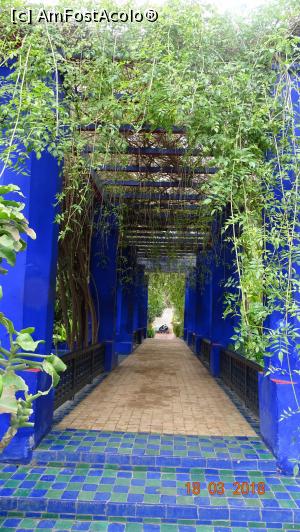 P09 [MAR-2018] Pergola, Gradina Majorelle