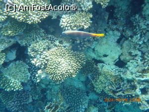 foto-vacanta la Rixos Radamis Tirana Hotel