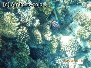 foto-vacanta la Rixos Radamis Tirana Hotel