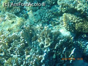 foto-vacanta la Rixos Radamis Tirana Hotel