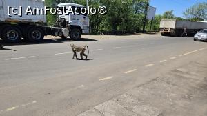 P02 [NOV-2025] no man s land