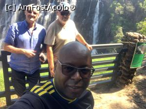 P41 [NOV-2025] cei trei mușchetari