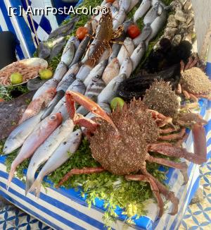 foto-vacanta la Pickalbatros Sungo Club Hotel