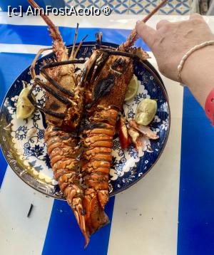 foto-vacanta la Pickalbatros Sungo Club Hotel