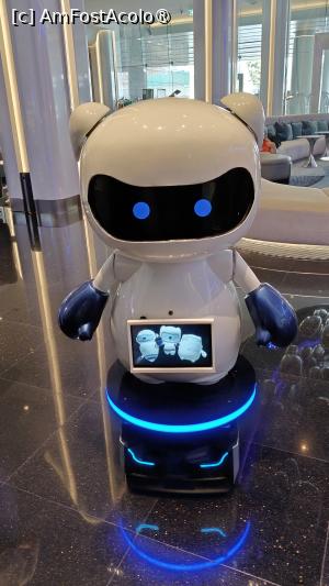 P47 [JAN-2025] robotelul din zona receptiei