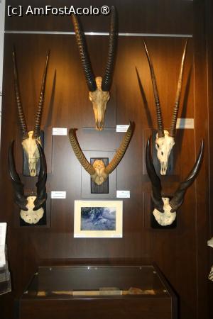 foto-vacanta la Muzeul Cinegetic August von Spiess