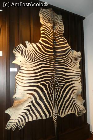 foto-vacanta la Muzeul Cinegetic August von Spiess