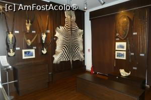 foto-vacanta la Muzeul Cinegetic August von Spiess
