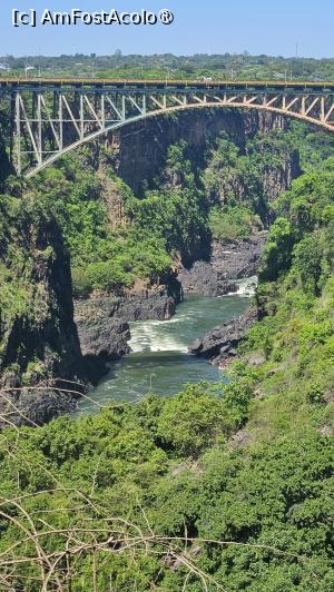 P46 [NOV-2025]  --- (nu are descriere)