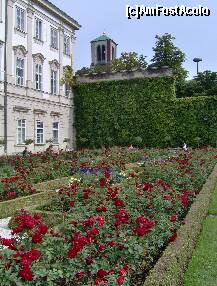 foto-vacanta la Palatul și Grădinile Mirabell