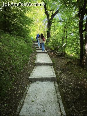 P21 [MAY-2026] Spre Cetatea Cisnădioara