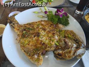 foto-vacanta la Unde mâncăm în Da Nang?